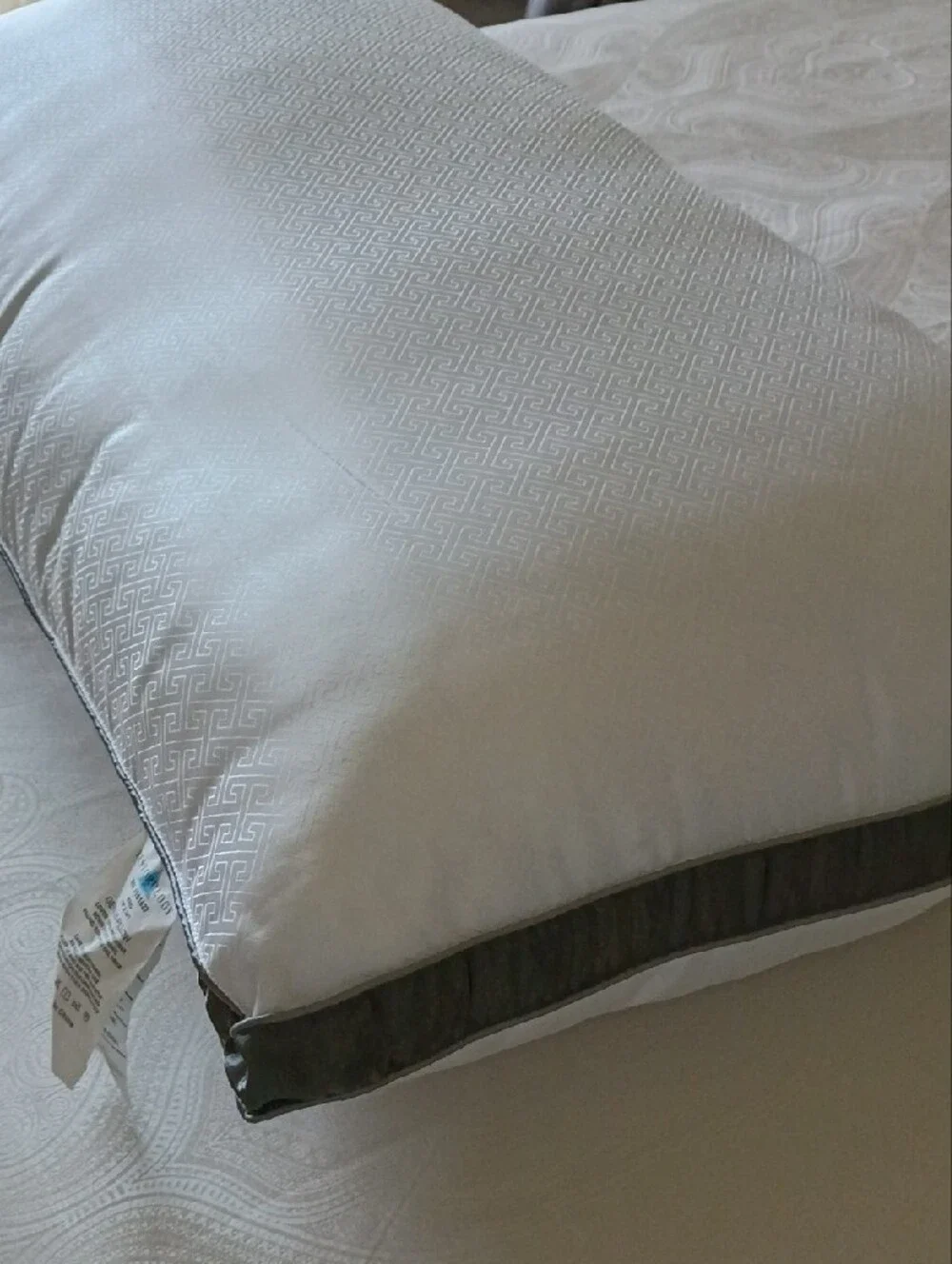 Pair of Genius Pillows - King